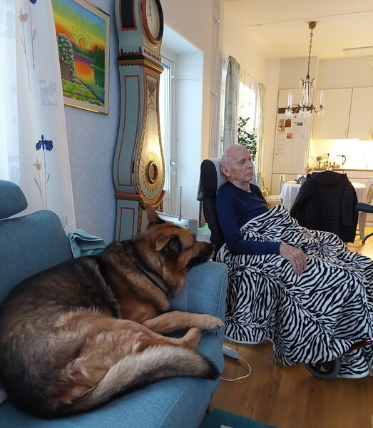 Klicka för att se förhandsgranska